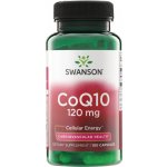 Swanson Koenzym Q10 120 mg 100 kapslí – Hledejceny.cz