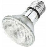Repti Zoo Halogen Basking Spot 50 W – HobbyKompas.cz