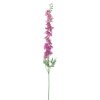 Květina Stračka (Ostrožka) - Delphinium 'Akana' růžová V125 cm (N957287)