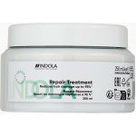 Indola Repair Treatment 250 ml – Hledejceny.cz