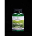 Swanson Astragalus Extract 120 kapslí – Hledejceny.cz