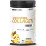 Skill Nutrition Hydrolysed Collagen Type I & III 660 g Pineapple – Hledejceny.cz
