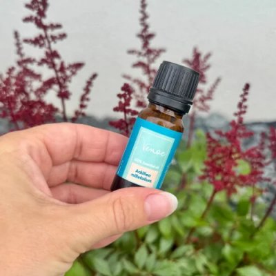 Venoc Esenciální olej Řebříček 10 ml – Hledejceny.cz