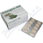 GINGIO POR 80MG TBL FLM 60 – Hledejceny.cz