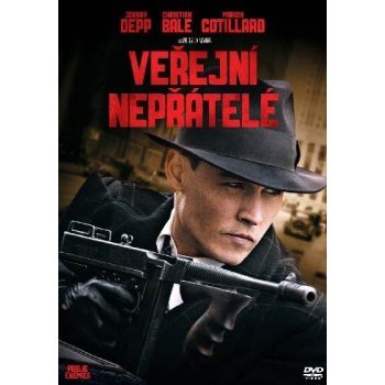 Veřejní nepřátelé DVD