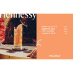 Hennessy VSOP Privilege Cognac 40% 0,7 l (karton) – Zboží Dáma