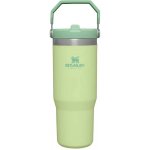 Stanley Tumbler se slámkou brčkem Citron 890 ml – Sleviste.cz