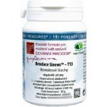 Giovanni Maciocia T13 Brokátové šlachy Brocade Sinews 60 tablet – Hledejceny.cz