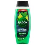 Radox Refreshment Menthol And Citrus 3-in-1 Shower Gel 450 ml – Hledejceny.cz