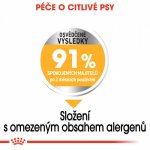 Royal Canin Mini Dermacomfort 2 kg – Hledejceny.cz