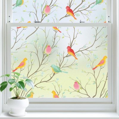 Folie na okno Lifetree Vogel – Hledejceny.cz