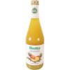 Džus Biotta Bio Ananas 0,5 l