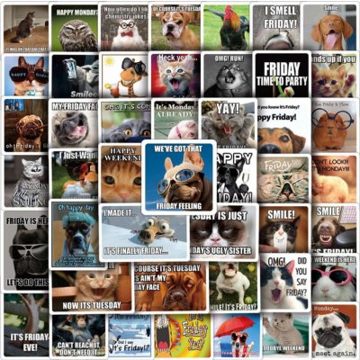 Memes samolepky (50 ks) – Zboží Živě