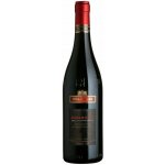 Folonari Amarone della Valpolicella 15% 0,75 l (holá láhev) – Hledejceny.cz