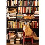 Cobble Hill XXL Gotham Bookstore Cats 500 dílků – Zboží Mobilmania