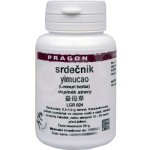 Srdečník Yimucao extrakt 20g Pragon – Hledejceny.cz