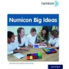 Kniha Numicon: Big Ideas Chinn Steve