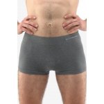 Bambusové boxerky s delší nohavičkou EcoBamboo 54005P šedá – Zboží Mobilmania