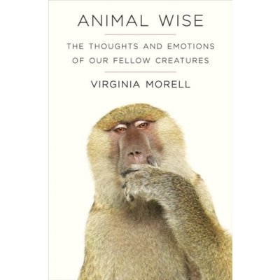 Animal Wise V. Morell – Hledejceny.cz