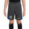 Dětské kraťasy a šortky Nike FCB Y NK DF STRK SHORT KZ3R fq2644-062