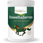 Horse Line Boswellia Serrata 900 g – Hledejceny.cz