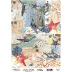 Cadence Rýžový papír A4 Želvy a velryby – Hledejceny.cz