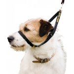 Canny Collar obojek výcvikový – Sleviste.cz