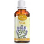 Serafin Šišák tinktura z pupenů 50 ml – Hledejceny.cz