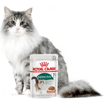 Royal Canin Oral Mature 12 x 85 g