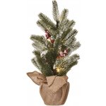 Emos LED vánoční stromek zasněžený 52 cm DCTW04 – Hledejceny.cz