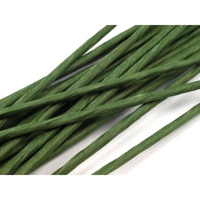 Prima-obchod Floristický drát Ø2,5 mm, délka 40 cm, barva 1 zelené kapradí – Zboží Dáma