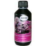 LK Baits Booster Spice Shrimp 250 ml – Zboží Dáma