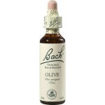 Bachovy květové esence Oliva Olive 20 ml – Hledejceny.cz