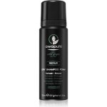 Paul Mitchell Awapuhi Wild Ginger Repair Dry Shampoo Foam 70 ml – Zbozi.Blesk.cz