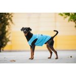 Vsepropejska Buda letní tričko pro psa – Zboží Mobilmania
