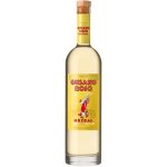 Gusano Rojo 38% 0,7 l (holá láhev) – Zboží Dáma