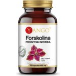 Yango forskolin indická kopřiva 90 tobolek – Hledejceny.cz