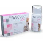 WePharm WeCysto Plus podpora močového ústrojí 50 ml – Hledejceny.cz