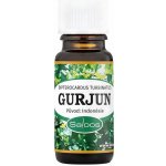 Saloos esenciální olej Gurjun 10 ml – Hledejceny.cz
