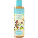 CHILDS FARM Šampon jahoda a máta 250 ml – Zbozi.Blesk.cz