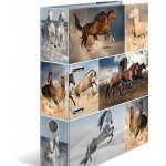 Herma Pořadač pákový 7cm A4 Koně – Zboží Živě