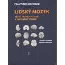 Lidský mozek