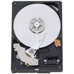 WD Caviar Green 1TB, 7200rpm, SATAII, 32MB, Low Noise, WD10EADS – Hledejceny.cz