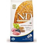 N&D Ancestral Grain Dog Adult Medium & Maxi Lamb & Blueberry 12 kg – Sleviste.cz