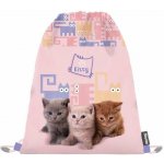 Karton P+P Mazlíčci 8-50321 – Zboží Mobilmania