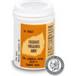 AKH Solidago Virgaurea 60 tablet – Hledejceny.cz