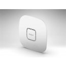 Netgear WAX625-100EUS