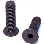 Šroub s válcovou hlavou extra nízkou a vnitřním šestihranem, pevnost 10.9, bez úpravy M10 x 20, balení 500 ks – Sleviste.cz