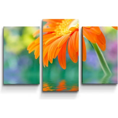 Sablio Obraz - 3-dílný Oranžová gerbera - 75x50 cm – Hledejceny.cz
