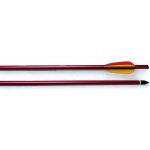 Ek ARCHERY 2219 hliníkový šíp 430 RED – Hledejceny.cz